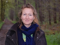 Afbeelding